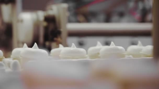 Produzione di gelati — Video Stock