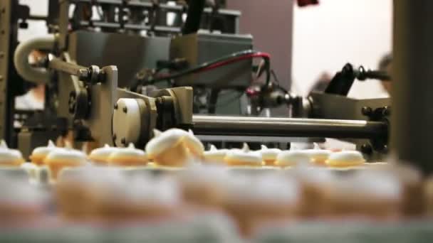 Equipamento de fábrica de alimentos no trabalho — Vídeo de Stock