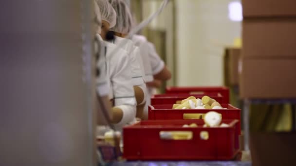 Trabajadores de la fábrica de alimentos — Vídeo de stock