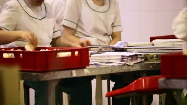 Mujer empacando helado en la fábrica — Vídeos de Stock