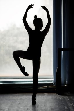 Dancing ballerina siluet