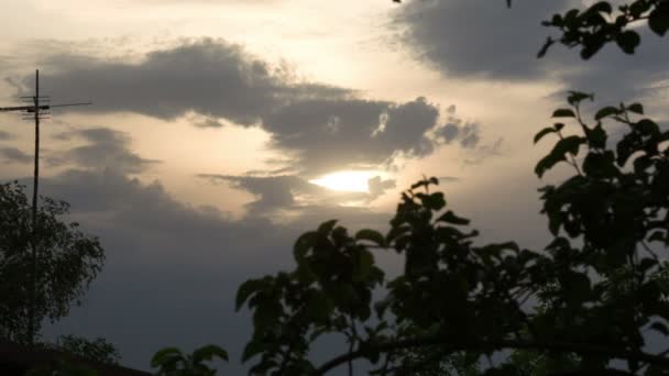 Abend-Natur-Szene mit Bäumen und Himmel — Wideo stockowe