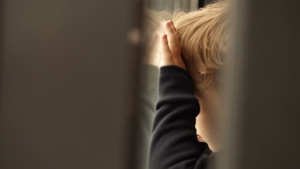 Little boy looking out of the window — Stock Video