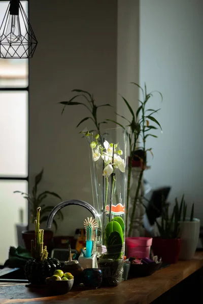 Цветы на столе — стоковое фото