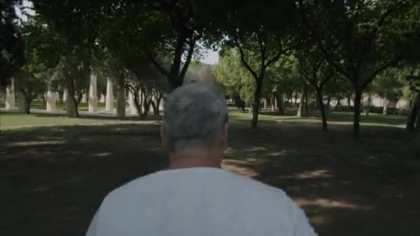 Man jogging in the park — Stock Video