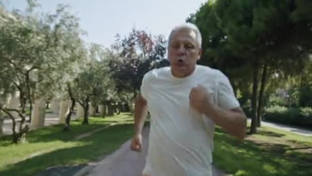 慢跑者在公园跑步 — 图库视频影像