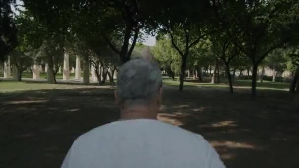 Hombre corriendo en el parque — Vídeos de Stock