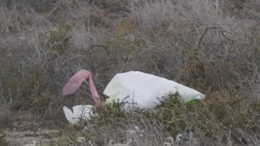 Çimlerde kullanılmış plastik torba.
