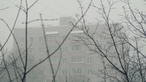 Winter View Apartment House Heavy Snowfall Branches Bare Trees Foreground — Stock Video
