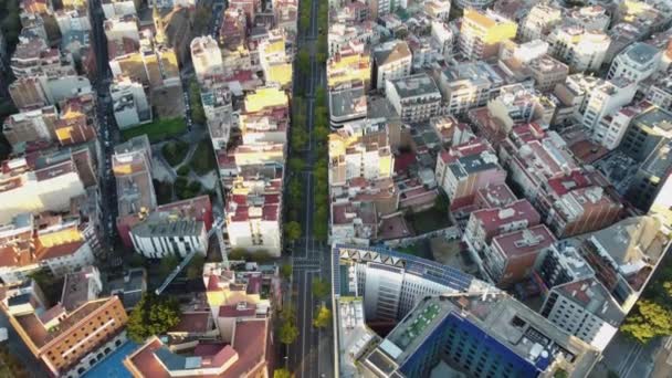 Flying Housing Area Morning Sunlight Tree Lined Road Densely Built — Stock Video