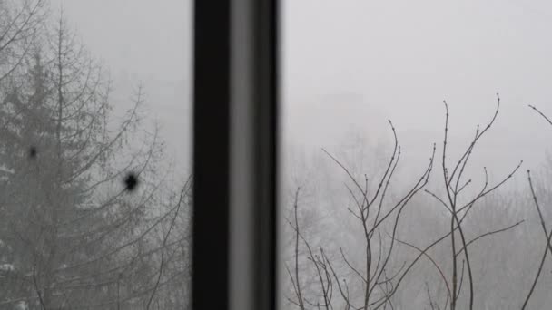 추웠던 창밖을 내다보니 벌거숭이 나무들이 보였습니다 — 비디오