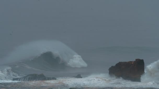 巨浪压碎了岩石 飞海鸥 Nazare 葡萄牙 大西洋 — 图库视频影像