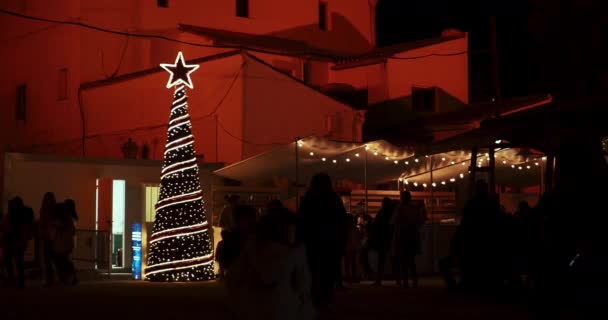 Valencia 스페인 November 2021 Illuminated Christmas Garden Jardins Vivers 사이트 — 비디오