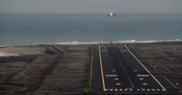 正面ビュー 飛行機は海の近くの空港滑走路に着陸しています — ストック動画
