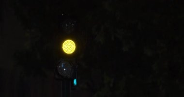 It is raining in the city at night, the yellow traffic light is flashing, there are wet trees