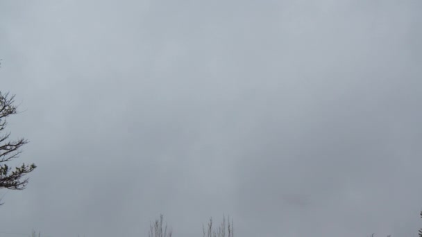 从地面到飞机的视野在阴云密布的天空中上升 消失在云层中 在恶劣的天气条件下飞行 — 图库视频影像