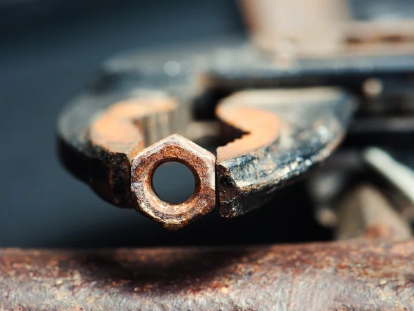 Rusty bolt — Stock Photo, Image