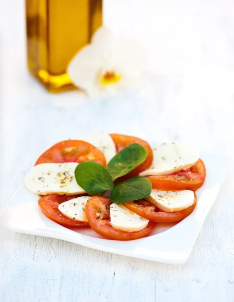 Tomaten und Mozzarella — Stockfoto