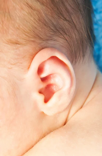 Orecchio piccolo neonato — Foto Stock