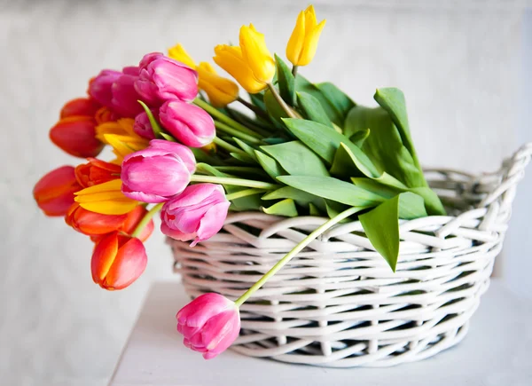 Tulipes dans le panier — Photo