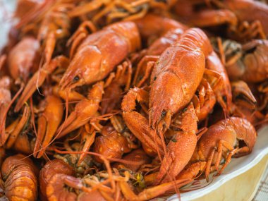 Nehir kerevitleri kaynar suda kaynatılır. Kırmızı taze haşlanmış kerevit. Dar pankart. Yakın çekim, seçici odaklanma.