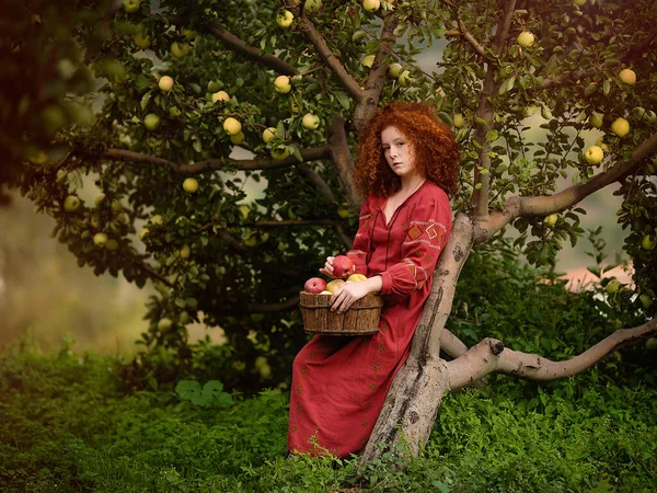 Red Haired Beautiful Girl Apples Apple Orchard — Fotografia de Stock