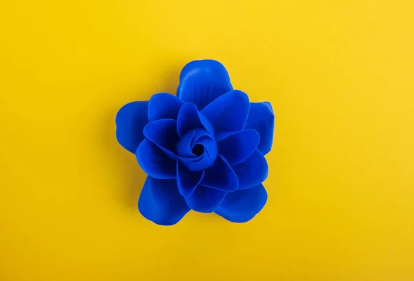 Blaue Blume Auf Gelbem Hintergrund — Stockfoto