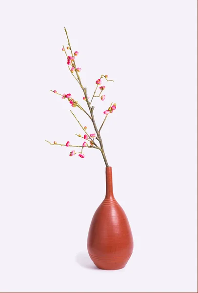 Branche Florale Amandes Dans Vase Argile Sur Fond Blanc Isolé — Photo