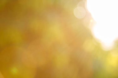 Arkaplan için soyut bulanık doğa ve ışık