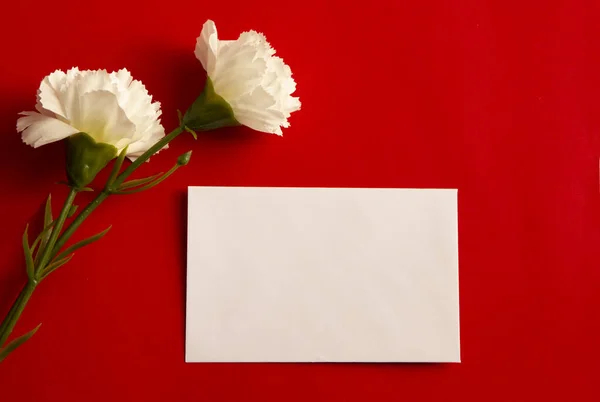ดอกไม และการ าหร อความบนพ นหล แดง แบนวาง มมองด านบน — ภาพถ่ายสต็อก
