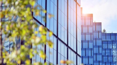Modern şehir için ilham verici bir manzara. Cam ve metalden yapılmış binanın duvarı ağaçlara karşı. Şirket inşaatı ve ekoloji, mavi gökyüzü ve yeşil ağacı olan modern bina manzarası. Güneş ışığı