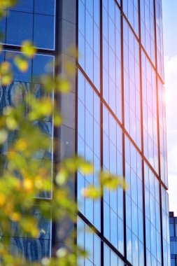 Modern şehir için ilham verici bir manzara. Cam ve metalden yapılmış binanın duvarı ağaçlara karşı. Şirket inşaatı ve ekoloji, mavi gökyüzü ve yeşil ağacı olan modern bina manzarası. Güneş ışığı