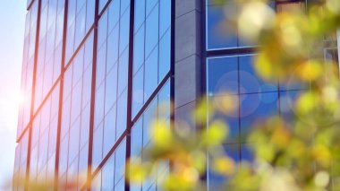 Modern şehir için ilham verici bir manzara. Cam ve metalden yapılmış binanın duvarı ağaçlara karşı. Şirket inşaatı ve ekoloji, mavi gökyüzü ve yeşil ağacı olan modern bina manzarası. Güneş ışığı