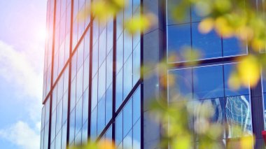 Modern şehir için ilham verici bir manzara. Cam ve metalden yapılmış binanın duvarı ağaçlara karşı. Şirket inşaatı ve ekoloji, mavi gökyüzü ve yeşil ağacı olan modern bina manzarası. Güneş ışığı