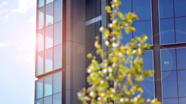 Modern şehir için ilham verici bir manzara. Cam ve metalden yapılmış binanın duvarı ağaçlara karşı. Şirket inşaatı ve ekoloji, mavi gökyüzü ve yeşil ağacı olan modern bina manzarası. Güneş ışığı