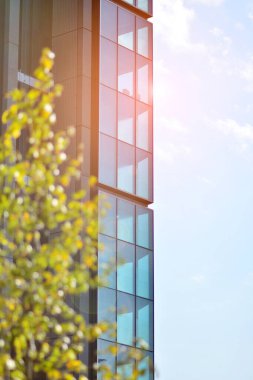 Modern şehir için ilham verici bir manzara. Cam ve metalden yapılmış binanın duvarı ağaçlara karşı. Şirket inşaatı ve ekoloji, mavi gökyüzü ve yeşil ağacı olan modern bina manzarası. Güneş ışığı