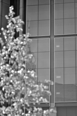 Şirket mimari binası. Yeni modern ofis binası. Çağdaş cam mimari binasının desenli mavi camı. Siyah ve beyaz.