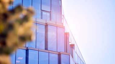 Modern şehir için ilham verici bir manzara. Cam ve metalden yapılmış binanın duvarı ağaçlara karşı. Şirket inşaatı ve ekoloji, mavi gökyüzü ve yeşil ağacı olan modern bina manzarası. Güneş ışığı