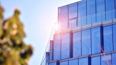 Modern şehir için ilham verici bir manzara. Cam ve metalden yapılmış binanın duvarı ağaçlara karşı. Şirket inşaatı ve ekoloji, mavi gökyüzü ve yeşil ağacı olan modern bina manzarası. Güneş ışığı