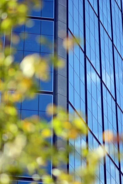 Inspiring view of the modern city. The wall of the building of glass and metal against trees. Corporate construction and ecology, view of  modern  building with blue sky and green tree. Sunlight
