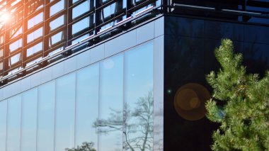 Çevre mimarisi. Yeşil ağaç ve cam ofis binası. Doğanın ve modernliğin ahengi. Modern ticari binanın yansıması güneş ışığıyla cam üzerine.. 