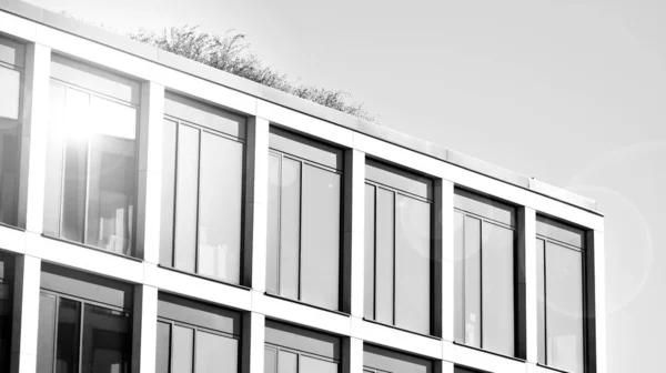 Budynek Architektury Korporacyjnej Nowy Nowoczesny Budynek Biurowy Tafla Teksturowana Współczesnego — Zdjęcie stockowe