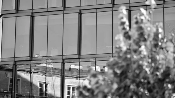 Corporate architecture building. New modern office building. Textured pane of contemporary glass architectural building. Black and white.
