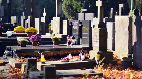 Varşova, Polonya. 1 Kasım 2021. Eski Powazki, Varşova 'nın Wola bölgesindeki tarihi mezarlıktır. Eski mezarlıktaki mezar taşları ve ağaçlar. Azizler Günü.