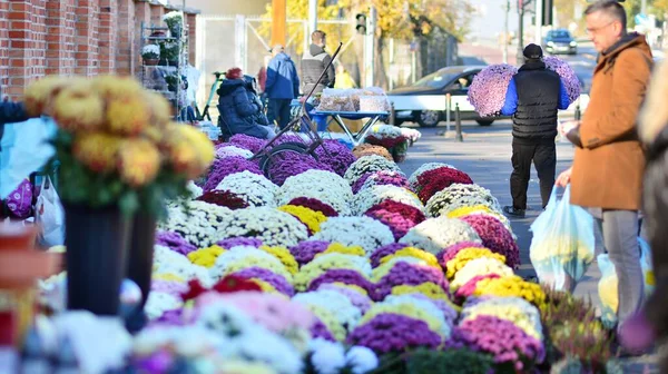 Varşova, Polonya. 1 Kasım 2021. Eski Powazki 'de mezarlara çiçek buketi satıyorum. Azizler Günü.