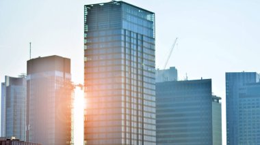 Modern şehir için ilham verici bir manzara. Cam ve metalden yapılmış binanın duvarı ağaçlara karşı. Şirket inşaatı ve ekoloji, mavi gökyüzü ve yeşil ağacı olan modern bina manzarası. Güneş ışığı