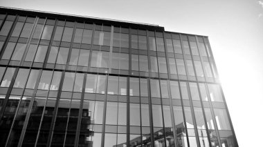 Modern cam ve alüminyum ofis duvarı açık havada güneş ışınları düşüyor. Siyah ve beyaz.