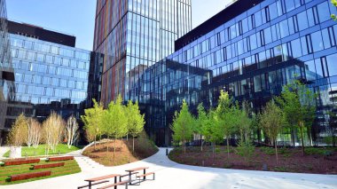 Varşova, Polonya. 5 Mayıs 2022. Orman, yaşamak ve ürün ve fikirleri çoğaltmak için modern ofis alanıdır. Dengeyi korumak için, şirket dünyasının dostane bir ofise ihtiyacı var. .