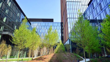 Varşova, Polonya. 5 Mayıs 2022. Orman, yaşamak ve ürün ve fikirleri çoğaltmak için modern ofis alanıdır. Dengeyi korumak için, şirket dünyasının dostane bir ofise ihtiyacı var. .