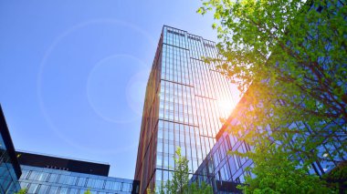 Varşova, Polonya. 5 Mayıs 2022. Orman, yaşamak ve ürün ve fikirleri çoğaltmak için modern ofis alanıdır. Dengeyi korumak için, şirket dünyasının dostane bir ofise ihtiyacı var. .